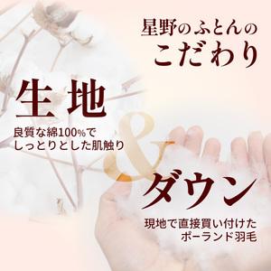ふるさと納税 羽毛布団 ポーランドダックダウン85％ クイーン 布団 群馬県前橋市_1