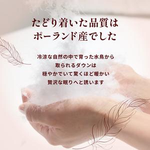 ふるさと納税 羽毛布団 ポーランドダックダウン85％ クイーン 布団 群馬県前橋市_3