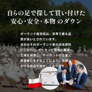 ふるさと納税 羽毛布団 ポーランドダックダウン85％ クイーン 布団 群馬県前橋市_4