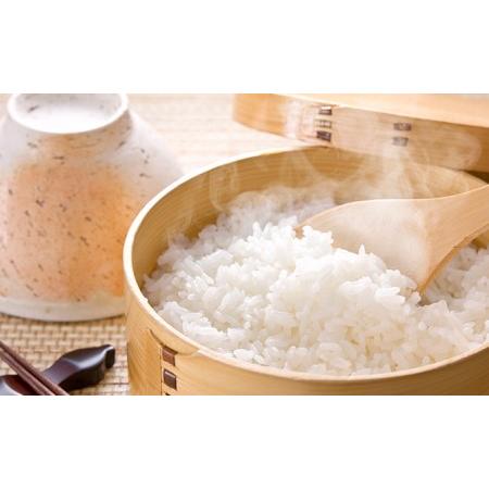 ふるさと納税 岐阜県揖斐郡産 味のいび米 はつしも 精米10kg 岐阜県池田町
