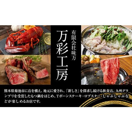 ふるさと納税 九州鍋グランプリ受賞 ぷりぷりもつ鍋 2人前 3ヶ月定期便 有限会社味万(万彩工房)《お申し込みの翌月から出荷》 菊池市産・熊本県.. 熊本県菊池市