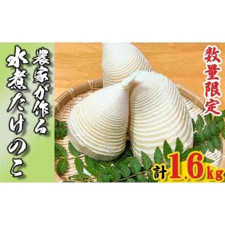 ふるさと納税 [先行予約]生産農家が作る!朝堀 水煮たけのこ 1.6kg 令和8年産 4月下旬から発送 無添加 熊本県 南関町産 若手 農家 惣菜 筍 和.. 熊本県南関町