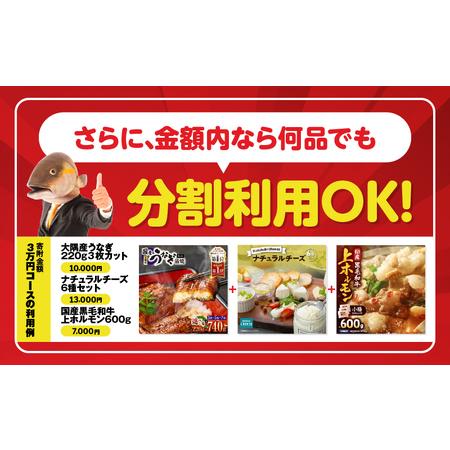 ふるさと納税 あとからセレクト【ふるさとギフト】60万円 KN000-AS0060 うなぎ 肉 牛 豚 魚 かんぱち 焼酎 カタログ 鹿児島 鹿屋市 おすすめ .. 鹿児島県鹿屋市 |  | 02