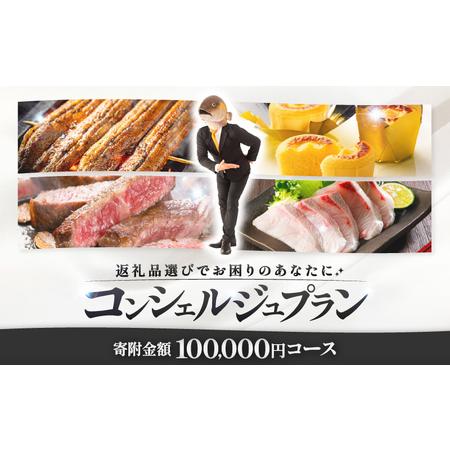ふるさと納税 コンシェルジュプラン 寄付額10万円コース KN000-CP010 コンシェルジュ プラン 選べる コース うなぎ 肉 牛 豚 鶏 魚 かんぱち .. 鹿児島県鹿屋市 | 