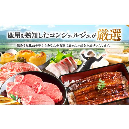 ふるさと納税 コンシェルジュプラン 寄付額10万円コース KN000-CP010 コンシェルジュ プラン 選べる コース うなぎ 肉 牛 豚 鶏 魚 かんぱち .. 鹿児島県鹿屋市 |  | 02