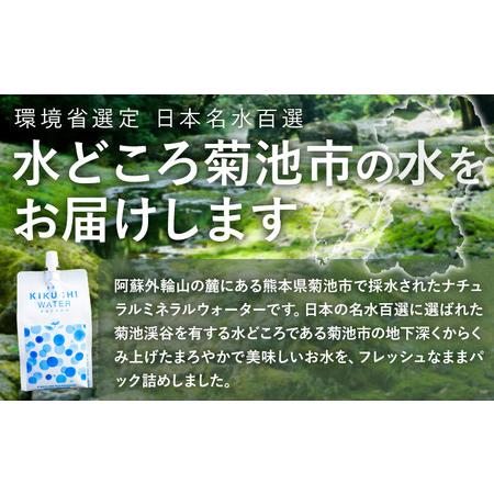 ふるさと納税 THE KIKUCHI WATER 500ml×30本 定期便 6回 水 飲料水 ミネラルウォーター シリカ 飲料《お申し込み月の翌月から出荷開始》天.. 熊本県菊池市の画像