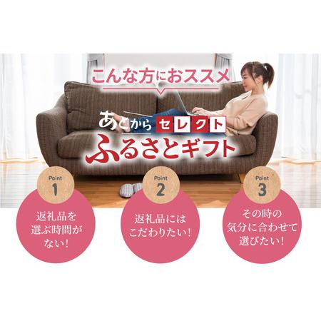 ふるさと納税 あとからセレクト【常滑市ふるさとギフト】（90,000円分）おまかせ ギフト ギフト券 ポイント 交換 カタログ カタログギフト あと.. 愛知県常滑市_3