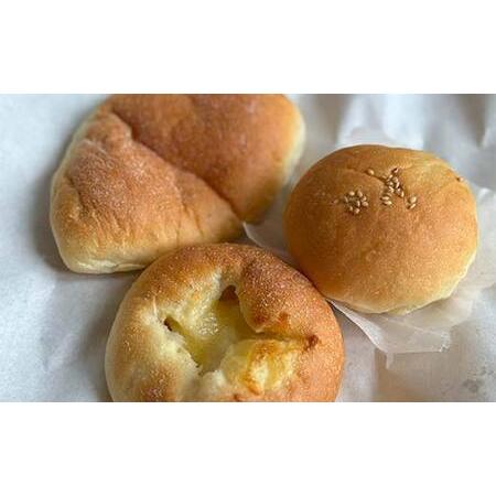 ふるさと納税 手作り 柔らかパンセット 10個 冷凍 パン 冷凍食品 おまかせ ギフト ティータイム こだわり 手作り 北海道 釧路 F4F-8509 北海道釧路市_2