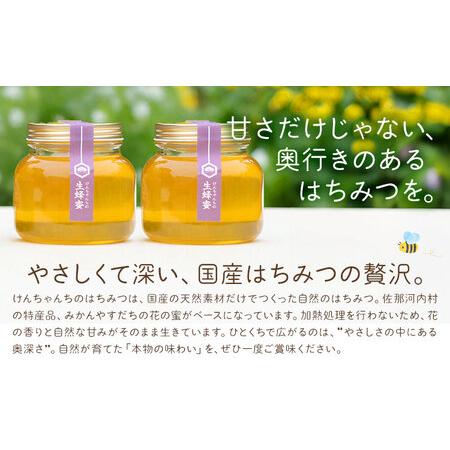 ふるさと納税 けんちゃんちのはちみつ 730g 2個セット《30日以内に出荷予定（土日祝除く）》ふるさと納税 はちみつ ハチミツ 蜂蜜 国産蜂蜜 .. 徳島県佐那河内村の画像