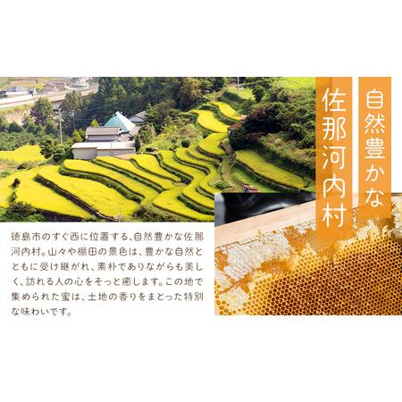 ふるさと納税 けんちゃんちのはちみつ 730g 2個セット《30日以内に出荷予定（土日祝除く）》ふるさと納税 はちみつ ハチミツ 蜂蜜 国産蜂蜜 .. 徳島県佐那河内村の画像