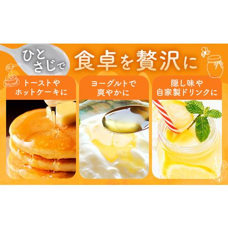 ふるさと納税 けんちゃんちのはちみつ 730g 2個セット《30日以内に出荷予定（土日祝除く）》ふるさと納税 はちみつ ハチミツ 蜂蜜 国産蜂蜜 .. 徳島県佐那河内村の画像