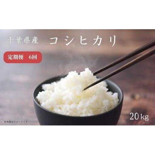 ふるさと納税 【 定期便 6回 】《 令和7年産 》千葉県産 コシヒカリ