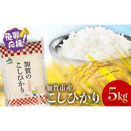 ふるさと納税 [2月発送]復興応援米 令和7年産こしひかり 5kg 精米 銘柄米 お米 米 ギフト 贈り物 グルメ 食品 復興 震災 コロナ 能登半島地震 .. 石川県加賀市
