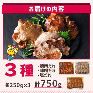 ふるさと納税 ロピア 味付け 牛タン 3種(合計750g・250g×3)  タン たん ＜離島配送不可＞【ksg1824】【ロピア】 福岡県春日市 |  | 04