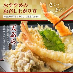 ふるさと納税 S065-004A_活き〆冷凍車海老 1.5kg (500g×3パック)  / 車エビ 車海老 エビ えび 熊本県天草市_2