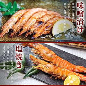ふるさと納税 S065-004A_活き〆冷凍車海老 1.5kg (500g×3パック)  / 車エビ 車海老 エビ えび 熊本県天草市_3