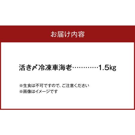 ふるさと納税 S065-004A_活き〆冷凍車海老 1.5kg (500g×3パック)  / 車エビ 車海老 エビ えび 熊本県天草市_4