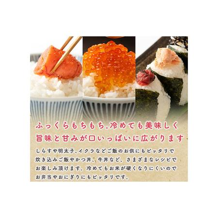 ふるさと納税 《定期便4ヶ月》令和7年産【備蓄米 無洗米】秋田県産 あきたこまち 5kg（2.5kg×2袋） 秋田県男鹿市の画像