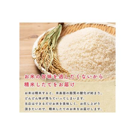 ふるさと納税 《定期便2ヶ月》令和7年産【備蓄米 無洗米】秋田県産 あきたこまち 10kg（2.5kg×4袋） 秋田県男鹿市の画像