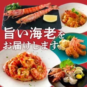 ふるさと納税 S005-003_【鮮度抜群】厳選・幸福堂の活き車えび(1,200g)〈先行予約〉 / 車エビ 車海老 エビ えび 熊本県天草市_1