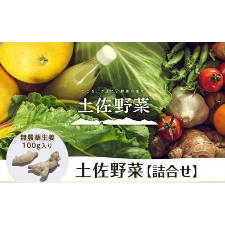 ふるさと納税 旬の土佐野菜セット 無農薬生姜100g付き 野菜 高知県南国市