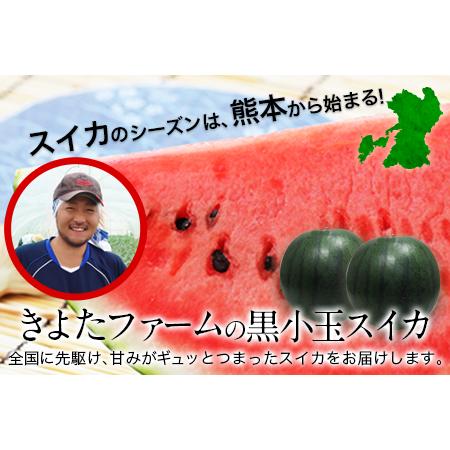 ふるさと納税 『きよたファーム』の黒小玉すいか2玉セット 1玉約2.5-4kg前後 熊本県玉名郡玉東町『きよたファーム』《7月上旬-8月中旬頃出荷》｜.. 熊本県玉東町