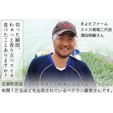 ふるさと納税 『きよたファーム』の黒小玉すいか2玉セット 1玉約2.5-4kg前後 熊本県玉名郡玉東町『きよたファーム』《7月上旬-8月中旬頃出荷》｜.. 熊本県玉東町