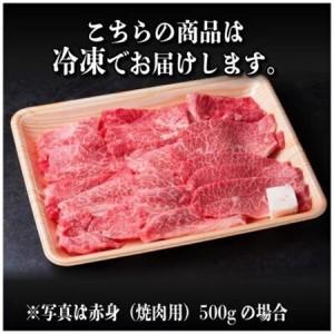 ふるさと納税 飛騨牛　厳選肩ロース・赤身(焼肉・BBQ用) 1.6kg(各800g) 黒毛和牛 小分けA4〜A5【配送不可地域：離島】【1667373】 岐阜県羽島市
