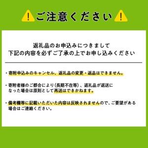 ふるさと納税 大雪山の伏流水で洗う CO2を出さない衣類クリーニング【店舗持込み引渡し夏衣類３点セット】 北海道東神楽町_4