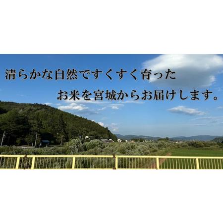 ふるさと納税 米 ひとめぼれ 玄米 30kg 令和7年産 ヒトメボレ お米 ごはん ご飯 30キロ 産地直送 米処 美味しい おこめ こめ さっぱり 宮城県石巻市の画像