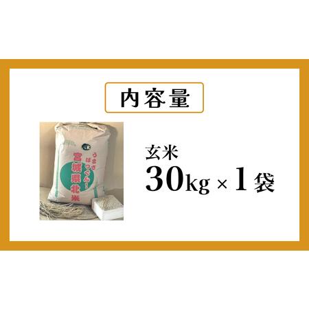 ふるさと納税 米 ひとめぼれ 玄米 30kg 令和7年産 ヒトメボレ お米 ごはん ご飯 30キロ 産地直送 米処 美味しい おこめ こめ さっぱり 宮城県石巻市の画像