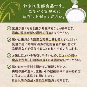 ふるさと納税 米 ひとめぼれ 玄米 30kg 令和7年産 ヒトメボレ お米 ごはん ご飯 30キロ 産地直送 米処 美味しい おこめ こめ さっぱり 宮城県石巻市の画像