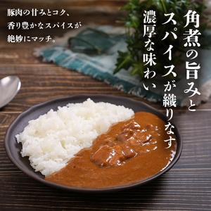 ふるさと納税 北海道 道産豚の角煮カレー 200g 10個セットen01-00230    北海道遠軽町の画像
