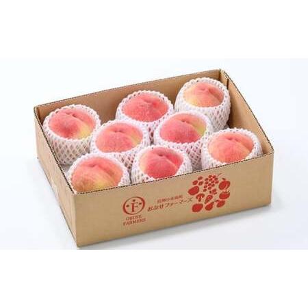 ふるさと納税 あかつき 約3kg 7〜12玉 ［おぶせファーマーズ］桃 もも モモ フルーツ 果物 クール便 冷蔵便 長野県産 信州産  令和8年産【2026.. 長野県小布施町の画像