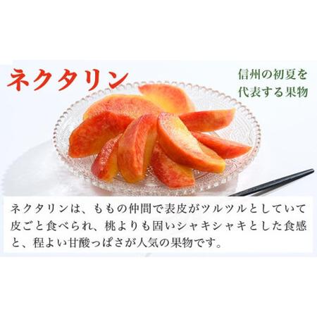 ふるさと納税 メイグランド 約2.6kg ［おぶせファーマーズ］【2026年7月中旬〜8月上旬発送】果物 フルーツ ネクタリン 長野県産 信州産 令和8.. 長野県小布施町の画像