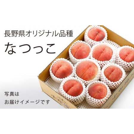 ふるさと納税 なつっこ (白桃） 約3kg 7〜12玉 ［小布施屋］ 桃 白桃 もも モモ フルーツ 果物 令和8年産 【2026年8月上旬〜中旬発送】［A-5］ 長野県小布施町の画像