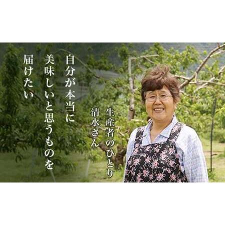 ふるさと納税 なつっこ (白桃） 約3kg 7〜12玉 ［小布施屋］ 桃 白桃 もも モモ フルーツ 果物 令和8年産 【2026年8月上旬〜中旬発送】［A-5］ 長野県小布施町の画像