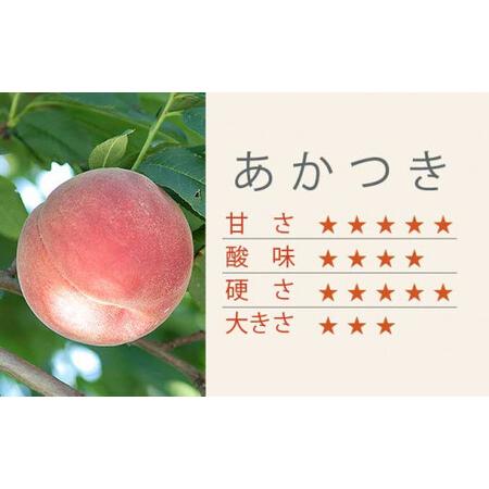 ふるさと納税 あかつき 約3kg 7〜12玉 ［小布施屋］ 桃 もも モモ フルーツ 果物 令和8年産 【2026年7月末頃〜8月上旬発送】[A-4] 長野県小布施町の画像