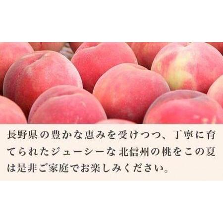ふるさと納税 あかつき 約3kg 7〜12玉 ［小布施屋］ 桃 もも モモ フルーツ 果物 令和8年産 【2026年7月末頃〜8月上旬発送】[A-4] 長野県小布施町の画像