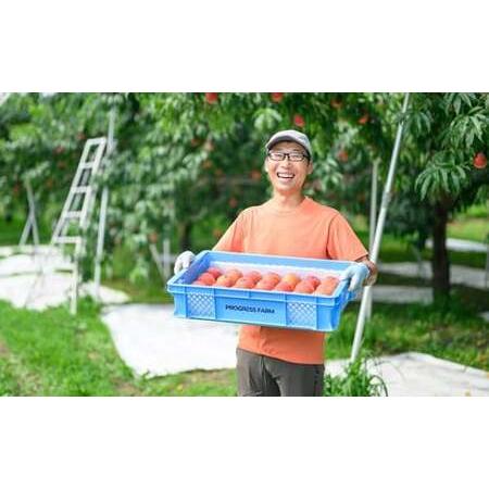 ふるさと納税 ワッサー 約3kg 7〜12玉 ［おぶせファーマーズ］果物 フルーツ クール便 冷蔵便 長野県産 信州産 令和8年産【2026年8月上旬〜下.. 長野県小布施町の画像