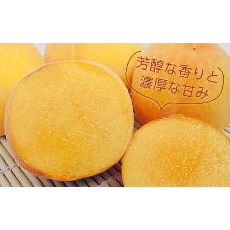 ふるさと納税 先行受付 黄金桃（有袋） 約3kg 7〜12玉 ［小布施屋］令和8年産 【2026年8月下旬〜9月上旬発送】 ［A-214］ 長野県小布施町の画像