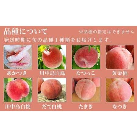 ふるさと納税 季節の桃 約3kg 7〜12玉［ おぶせファーマーズ ］桃 もも モモ ピーチ フルーツ 果物 たまき なつき あかつき 川中島白鳳 なつっ.. 長野県小布施町の画像
