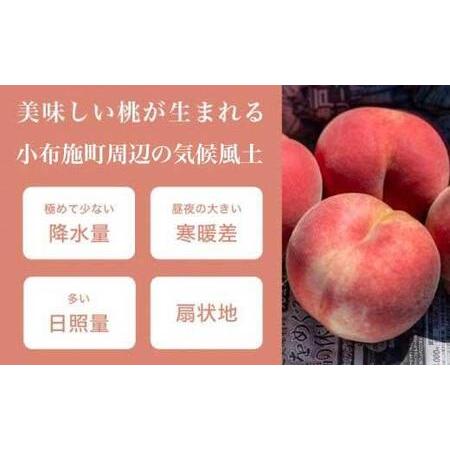 ふるさと納税 季節の桃 約3kg 7〜12玉［ おぶせファーマーズ ］桃 もも モモ ピーチ フルーツ 果物 たまき なつき あかつき 川中島白鳳 なつっ.. 長野県小布施町の画像