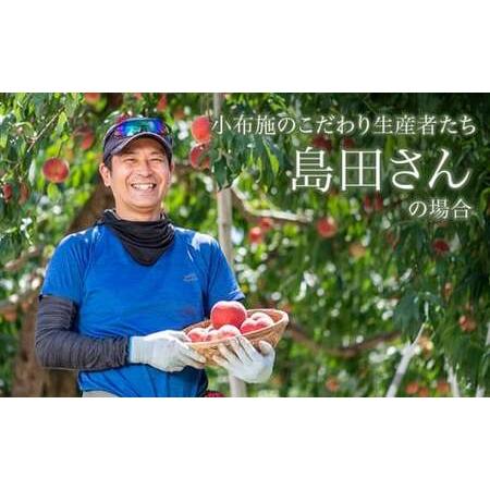 ふるさと納税 季節の桃 約3kg 7〜12玉［ おぶせファーマーズ ］桃 もも モモ ピーチ フルーツ 果物 たまき なつき あかつき 川中島白鳳 なつっ.. 長野県小布施町の画像