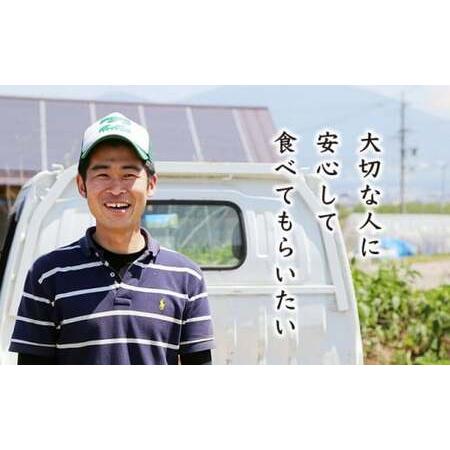 ふるさと納税 ［栽培期間中農薬・化学肥料不使用 ］OBUSE Meguru 野菜セット S 7〜10種類 ［おぶせファーマーズ］野菜 詰め合わせ おまかせ .. 長野県小布施町_2