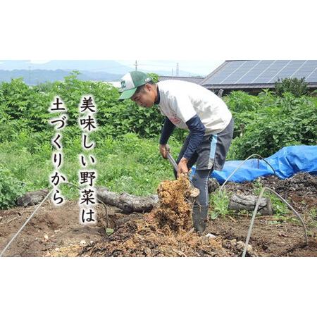 ふるさと納税 ［栽培期間中農薬・化学肥料不使用 ］OBUSE Meguru 野菜セット S 7〜10種類 ［おぶせファーマーズ］野菜 詰め合わせ おまかせ .. 長野県小布施町_3
