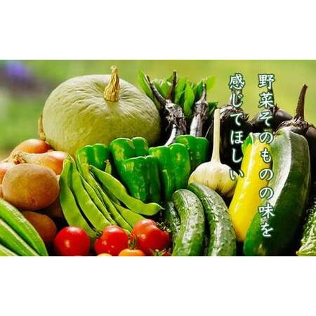 ふるさと納税 ［栽培期間中農薬・化学肥料不使用 ］OBUSE Meguru 野菜セット S 7〜10種類 ［おぶせファーマーズ］野菜 詰め合わせ おまかせ .. 長野県小布施町_4