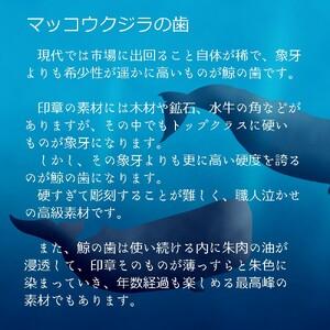 ふるさと納税 【1点限定】 手彫り印鑑 鯨歯 実印・銀行印セット 標準 13.5mm 16.5mm : 印鑑 はんこ 印章 判子 京都府舞鶴市の画像