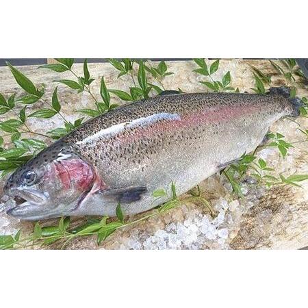 ふるさと納税 【ふるなび限定】【定期便6回】産地直送栃木県のブランド魚「プレミアムヤシオマス」の刺身 400g (200g×2パック)  [ 冷凍便 ].. 栃木県矢板市の画像
