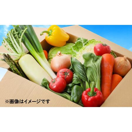 ふるさと納税 【6回定期便】野菜のプロが選ぶ 旬の野菜セット 12-13品目 野菜定期便 / 野菜 やさい セット 新鮮 / 南島原市 / 愛2農園[SGG003] 長崎県南島原市の画像
